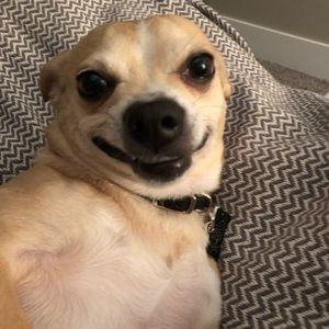 Meet your Posher, Britt